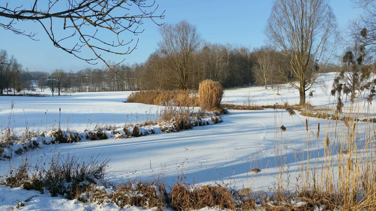 Winterwonderland GCE Golfclub Ebersberg e V 